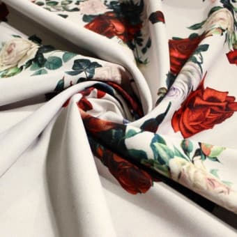 1084 ��������-��������� ������ Dolce&Gabbana ���� �� �������